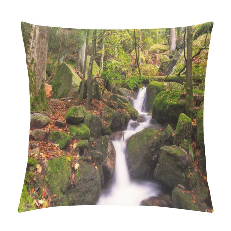 Personality  Gertelsbacher Waterfalls In Autumn, Black Forest, Germany Pillow Covers