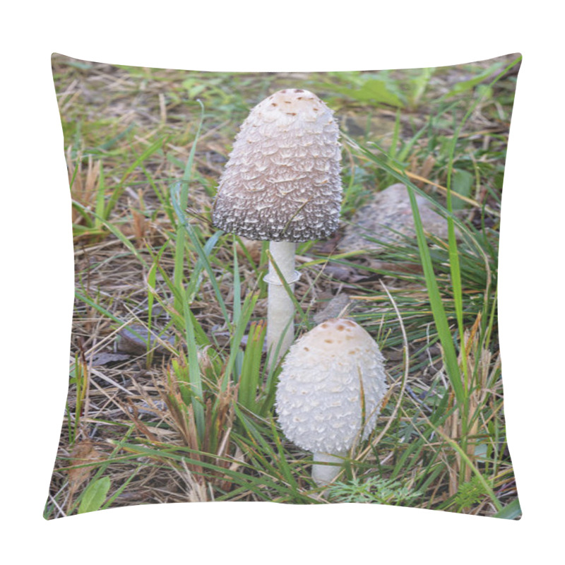 Personality  Close-up View Of Two Mushrooms In Forest Meadow Coprinus Comatus Shaggy Ink Cap Lawyer Wig Or Shaggy Mane Side View Pillow Covers