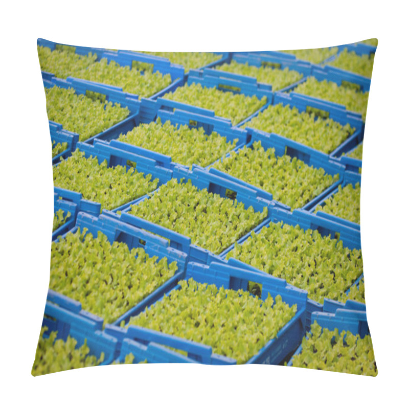 Personality  Lettuce Pillow Covers