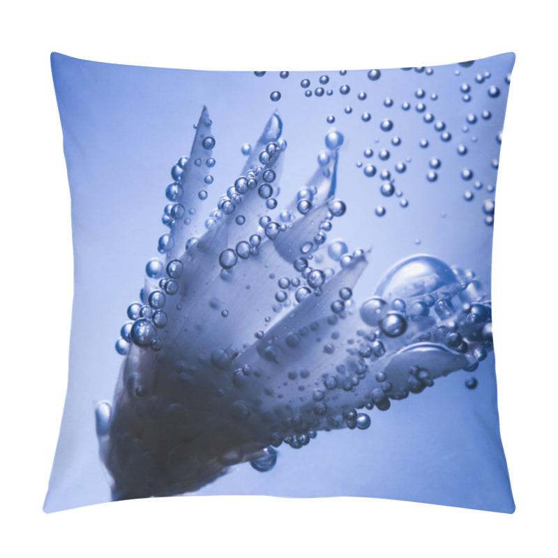 Personality  Underwater Composition With Dried Flower Pillow Covers