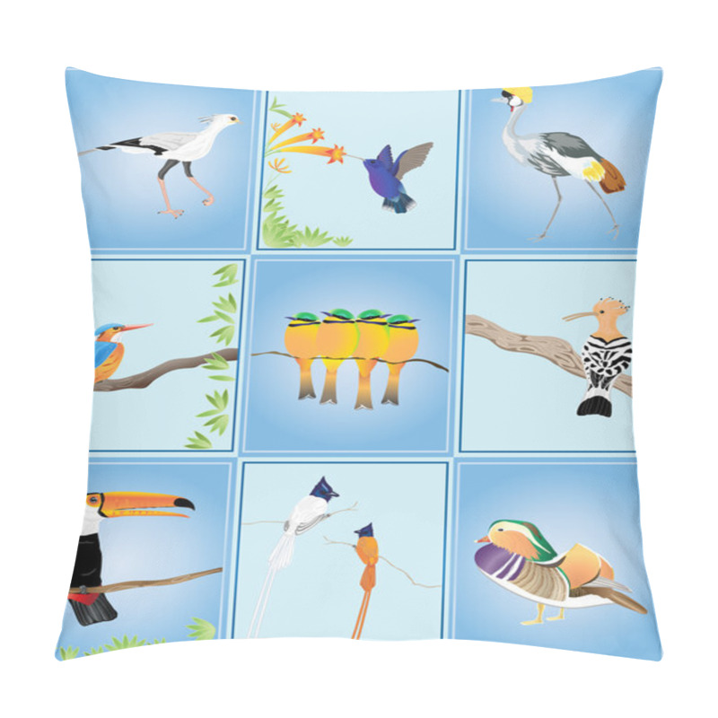 Personality  Birds Of The World Pillow Covers