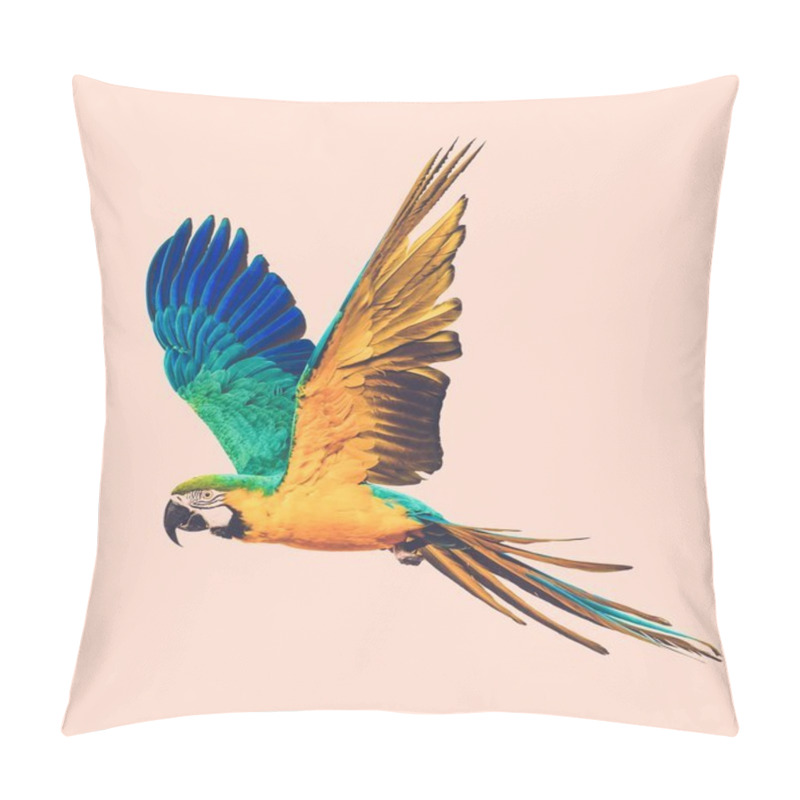 Personality  Flying Parrot Toned Pillow Covers