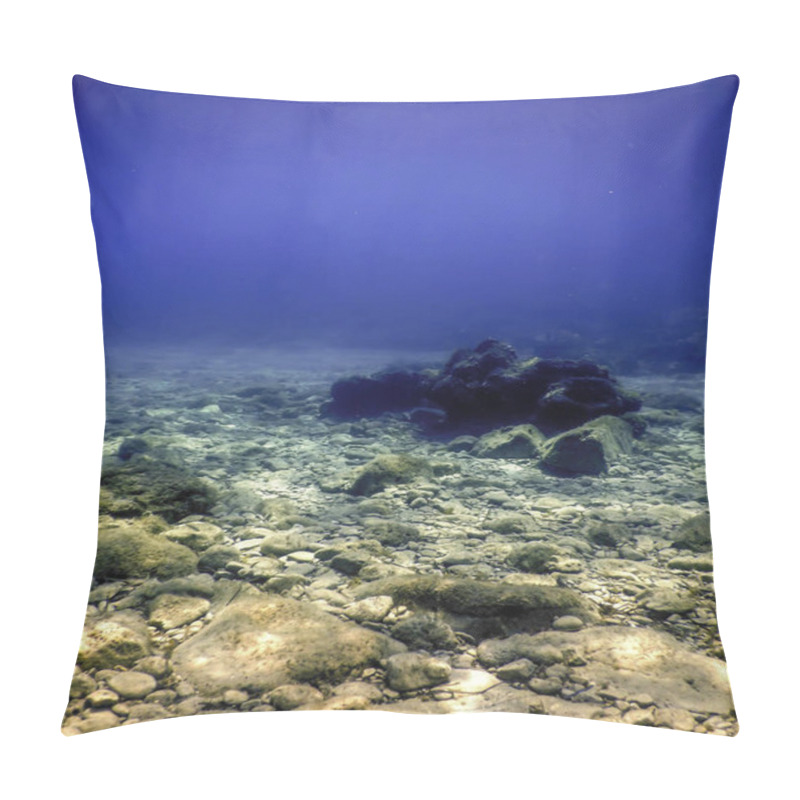 Personality  Rocks At Bottom Of Ocean Floor, Underwater Life Pillow Covers