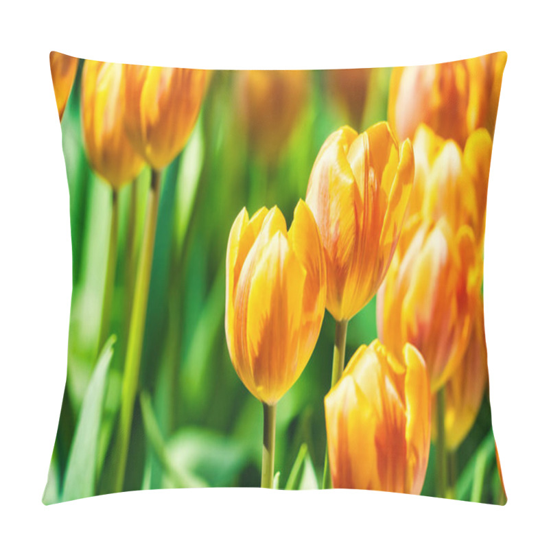 Personality  Yellow And Orange Tulips Blooming Brightly In A Lush Garden Surrounded By Green Leaves, Showcasing The Vibrant Beauty Of Spring. Pillow Covers