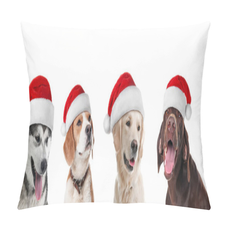 Personality  Row Of Cute Dogs With Santa Claus Hats On White Background. Christmas Concept  Pillow Covers