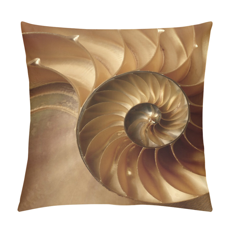 Personality  Texture of shell. pillow covers