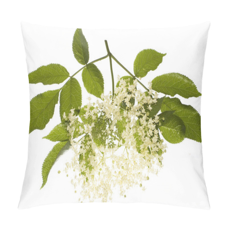 Personality  Elderflower Pillow Covers