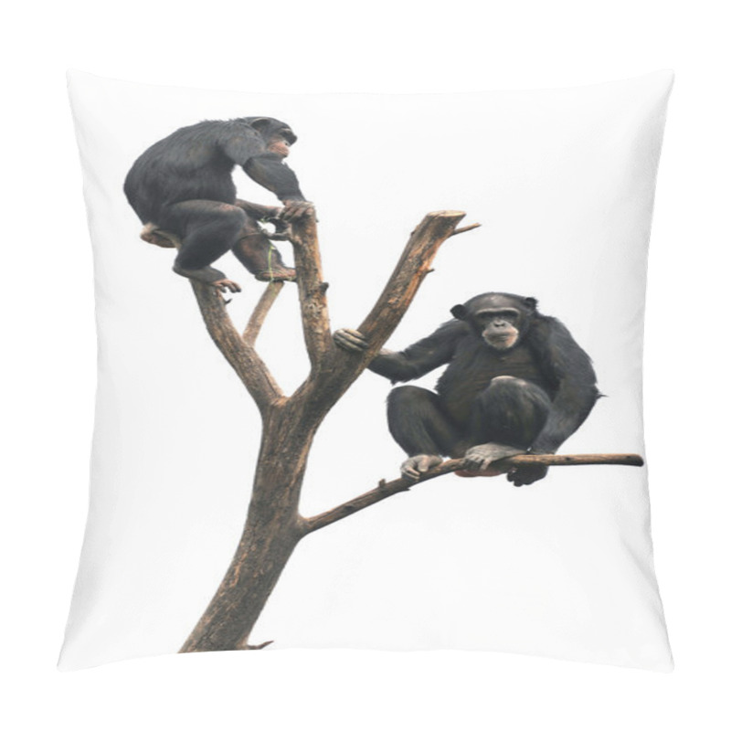 Personality  Chimpanzees On A Bare Tree Pillow Covers