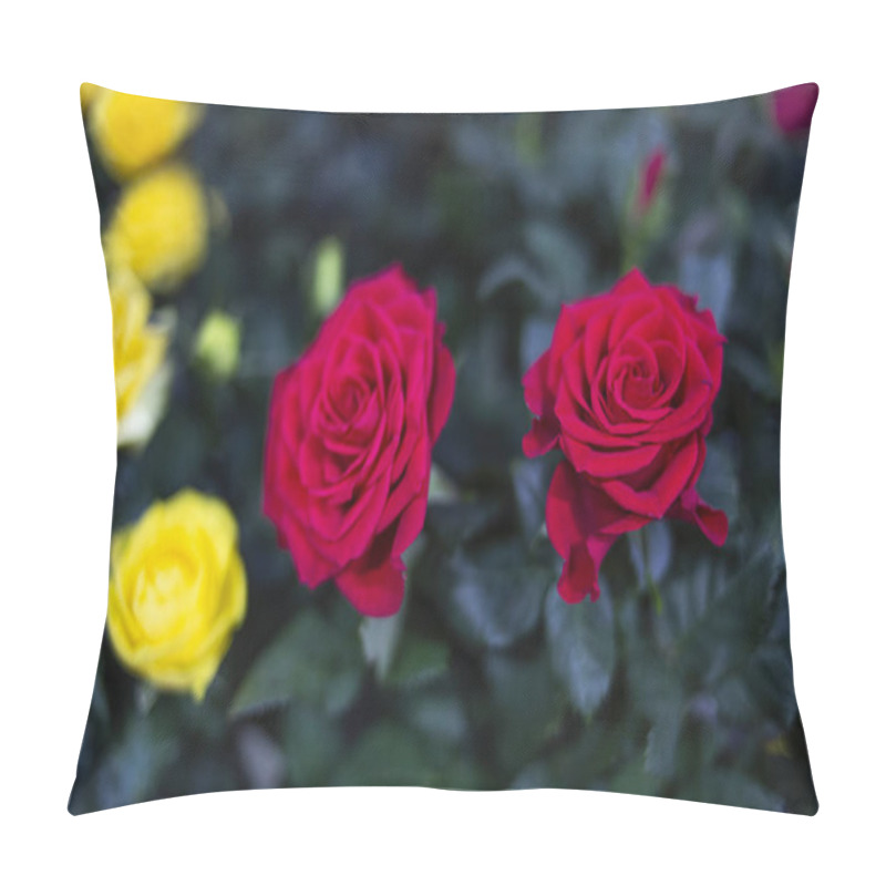 Personality  Red Bush Rose Background Image Pillow Covers