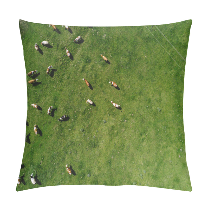 Personality  Aerial View Of Cows Herd Grazing On Pasture Pillow Covers