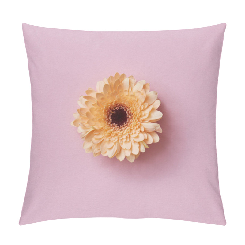 Personality  Beautiful Orange Gerbera Flower On Pink Background, Greeting Card, Valentine's Day, Mother's Day  Pillow Covers