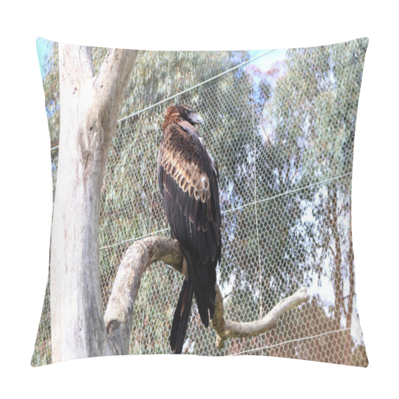 Personality  Wedge-tailed Eagle (Aquila Audax) Perched On A Dead Tree. Pillow Covers