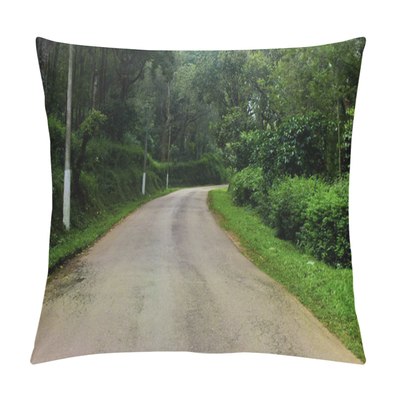 Personality  Road Passing Through Beautiful Lush Green Forest Of Chikmagalur,India Pillow Covers