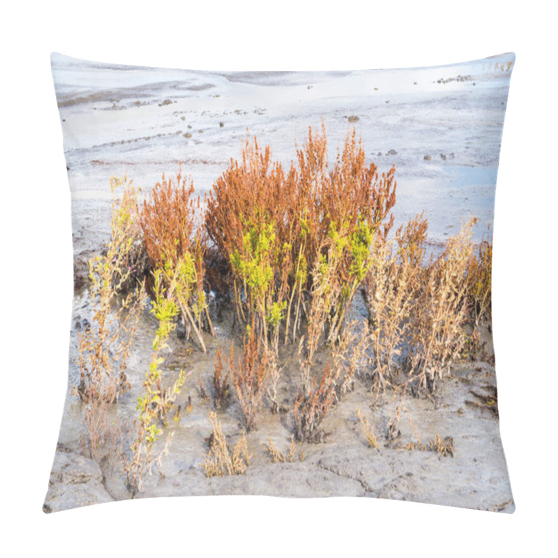 Personality  Golden Dock, Rumex Maritimus, And Willowherb, Epilobium Hirsutum, Growing On Mudflat, Marker Wadden, Netherlands Pillow Covers