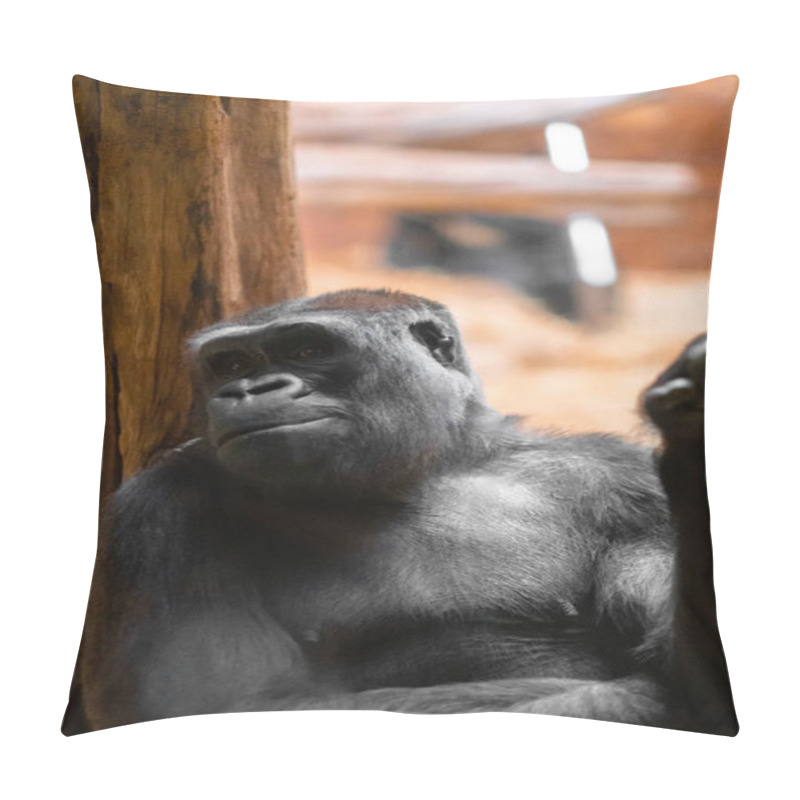 Personality  Gorilla On A Wooden Surface, Expressing A Calming Demeanor. The Photograph Highlights The Animal's Natural Surroundings And Evokes Thoughts Of Wildlife Preservation, Primate Behavior, And Tranquility Pillow Covers