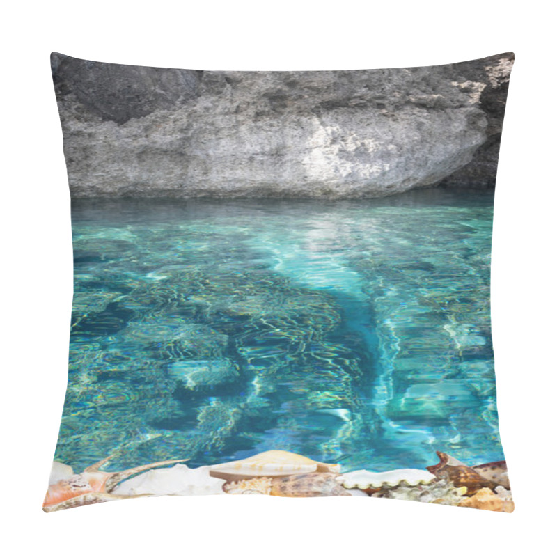 Personality  Tropical Shells And Blue Reef Pillow Covers