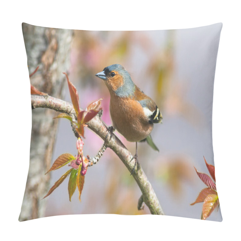 Personality  Chaffinch Bird Perched On A Tree Branch Pillow Covers