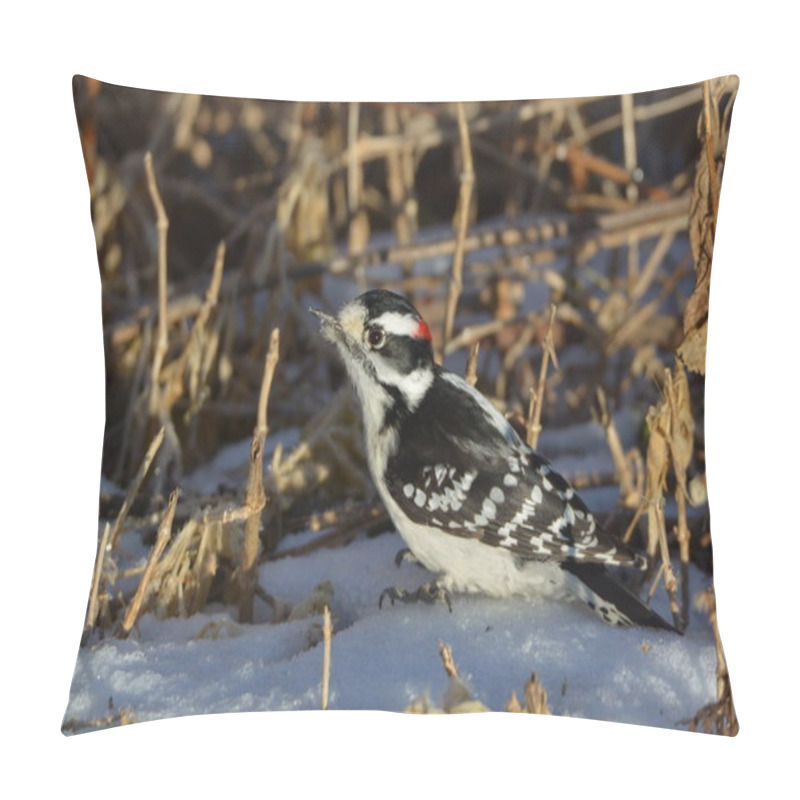 Personality  Downy Woodpecker In The Snow Pillow Covers