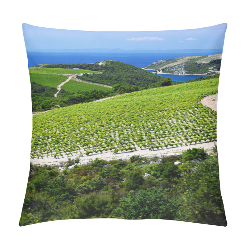 Personality  Vineyard In Dalmatia, Croatia, At The Adriatic Coast Pillow Covers