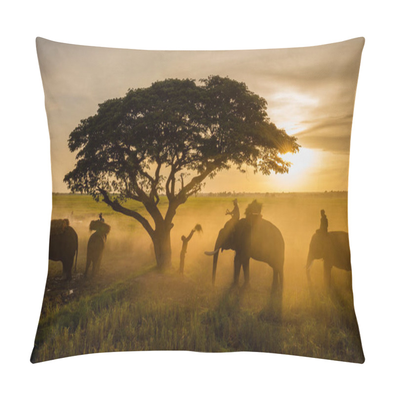 Personality  Farmers In Thailand, Surin Elephant  Pillow Covers