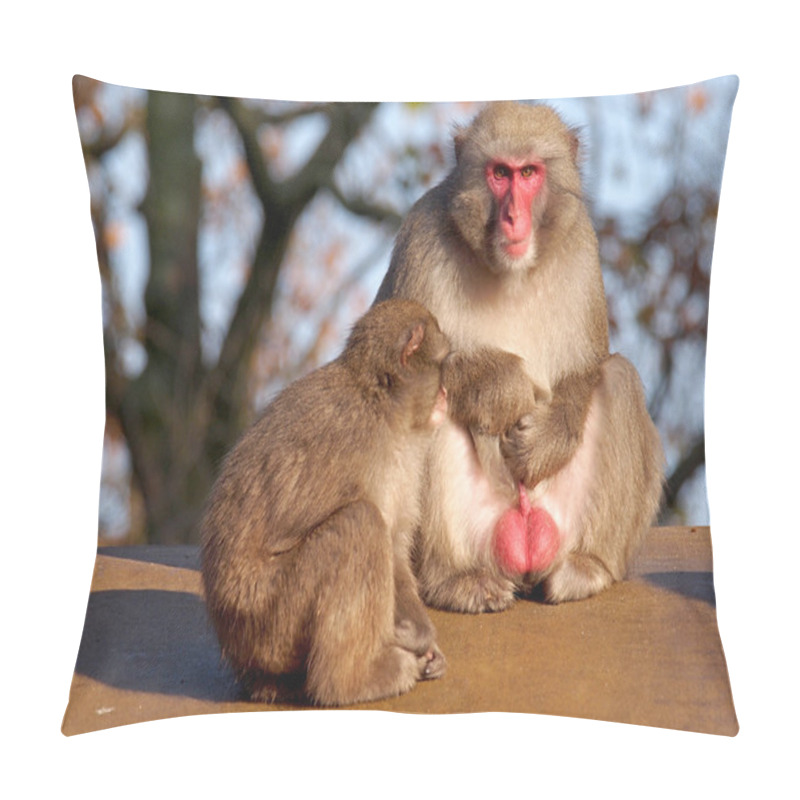 Personality  Japanese Macaque Pillow Covers