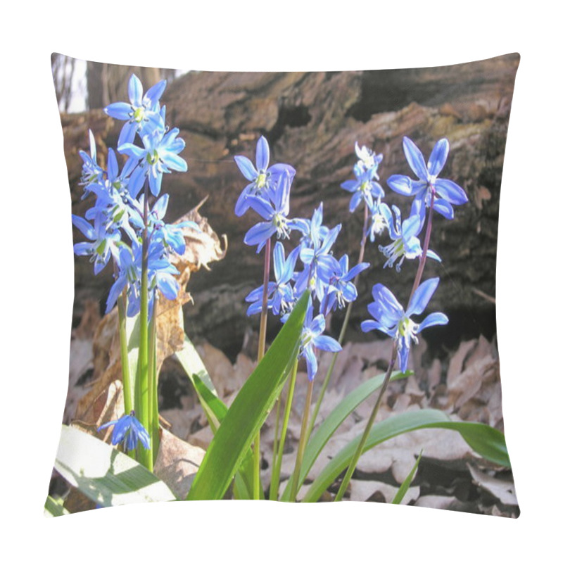 Personality  Blue Spring Bluebell Flowers, Russia. Pillow Covers