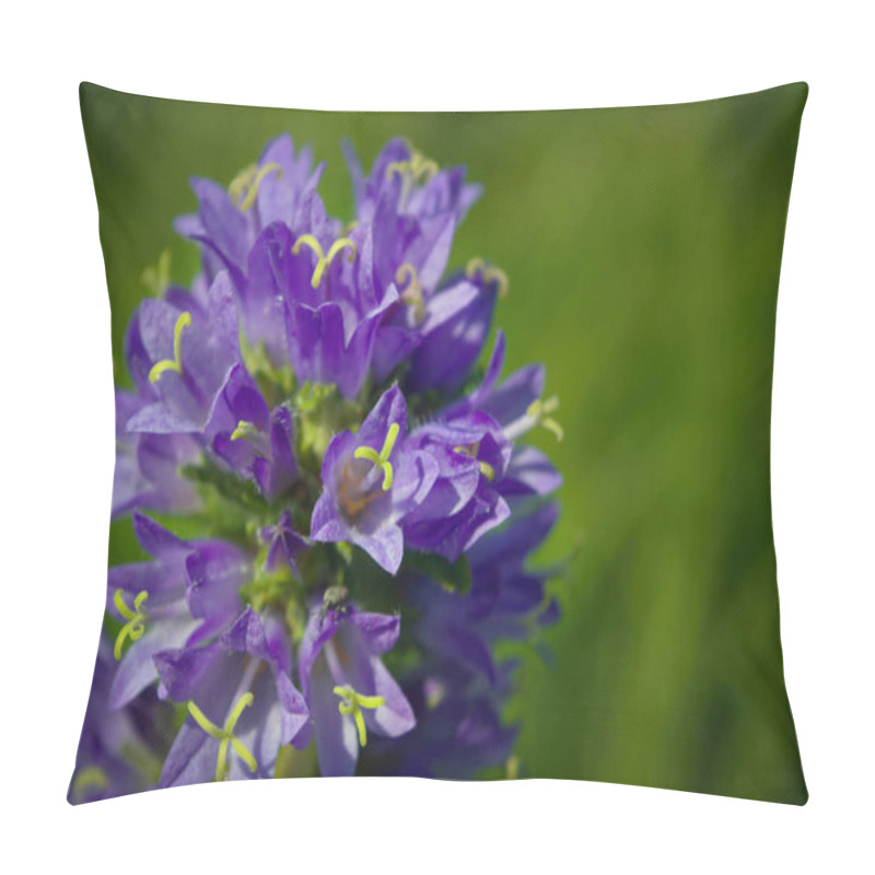 Personality  Prunella Vulgaris Single Flower, Medicinal Plant, Close Up. Pillow Covers