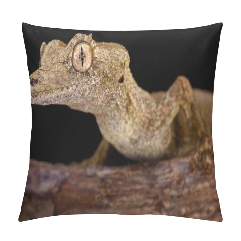 Personality  Gunther's Leaf-tailed Gecko (Uroplatus Guentheri) Pillow Covers