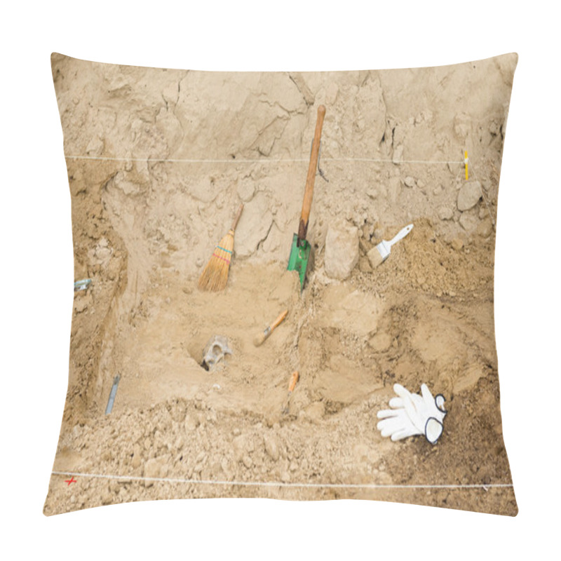 Personality  Archaeology Excavation Site Pillow Covers