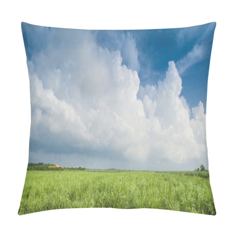 Personality  Caribbean Sugar Cane Plantations In Dominican Respublic Pillow Covers