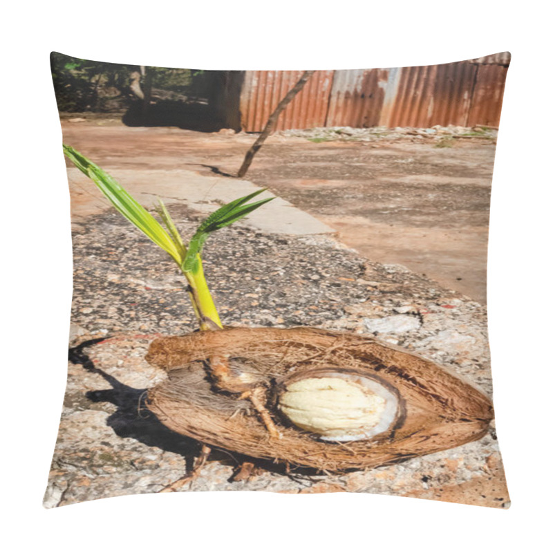 Personality  A Coconut Plant Is Growing From Its Drupe. Pillow Covers