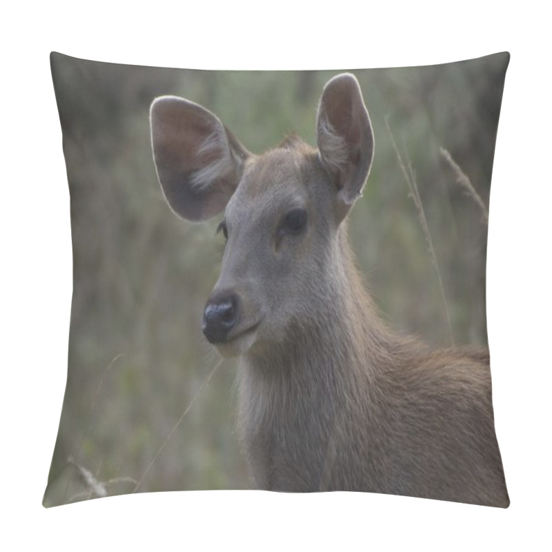 Personality  Young Deer Close-up Pillow Covers