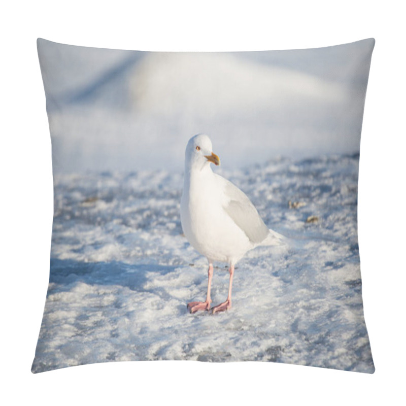 Personality  Seagull Standing On The Ice Surface Pillow Covers