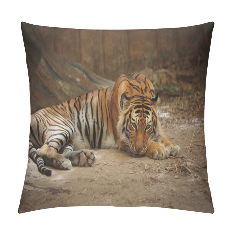 Personality  Bengal Tiger Pillow Covers