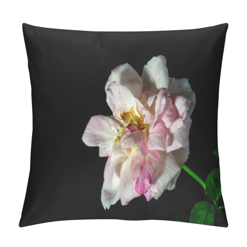 Personality  The Delicate Petals Of A Withering Sakura Gasumi Ros Pillow Covers