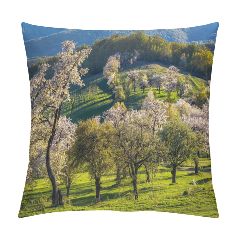 Personality  Morning Cherry Orchard In A Small Village In Slovakia Pillow Covers