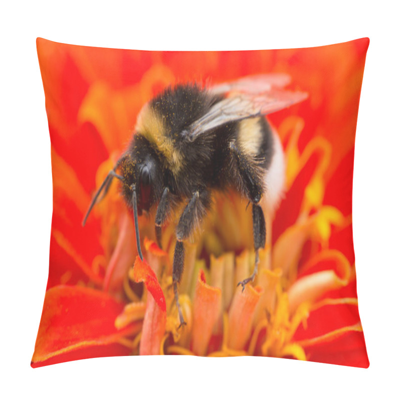 Personality  A Bumblebee Sitting On Flower Pillow Covers