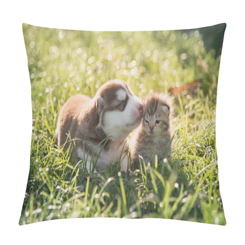 Personality  Cute Siberian Husky Puppy And Tabby Kitten Lying Pillow Covers