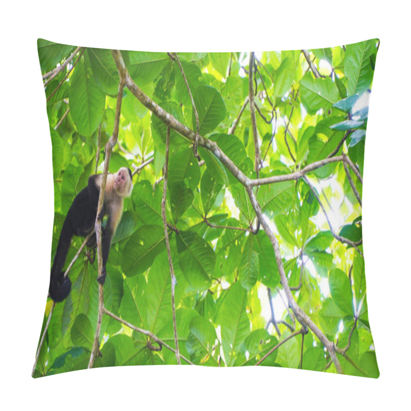 Personality  White Faced Capuchin Monkey Pillow Covers