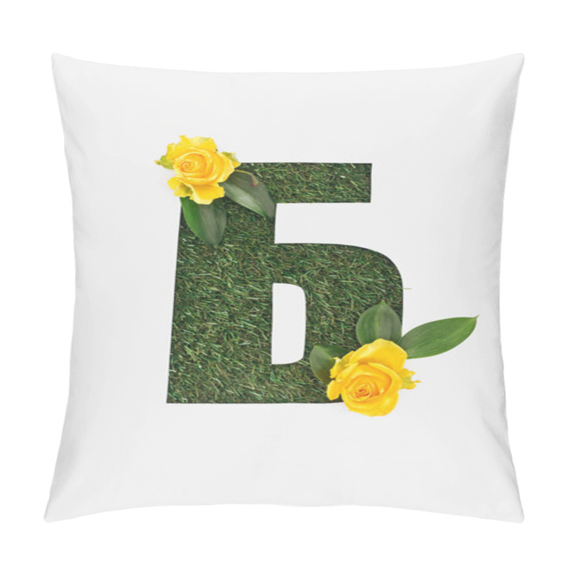 Personality  Top View Of Cyrillic Letter With Natural Grass On Background And Yellow Roses With Green Leaves Isolated On White Pillow Covers