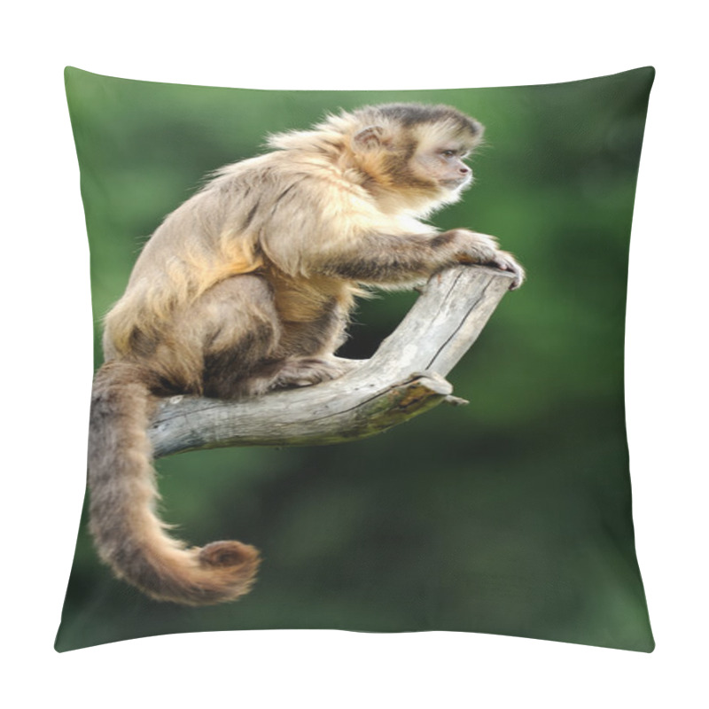 Personality  Capuchin Monkey Pillow Covers