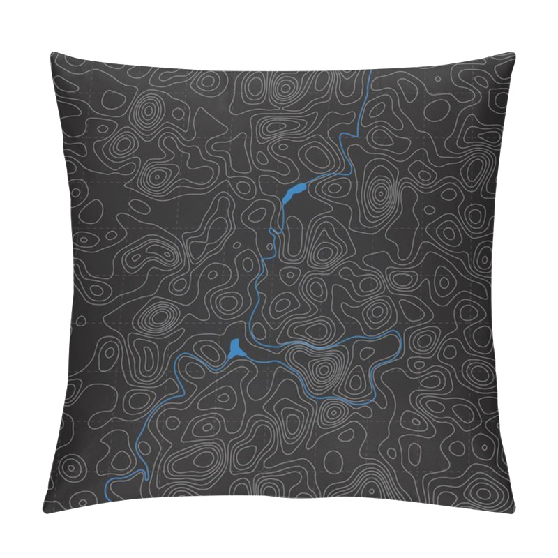 Personality  Vector Topography Map Pillow Covers