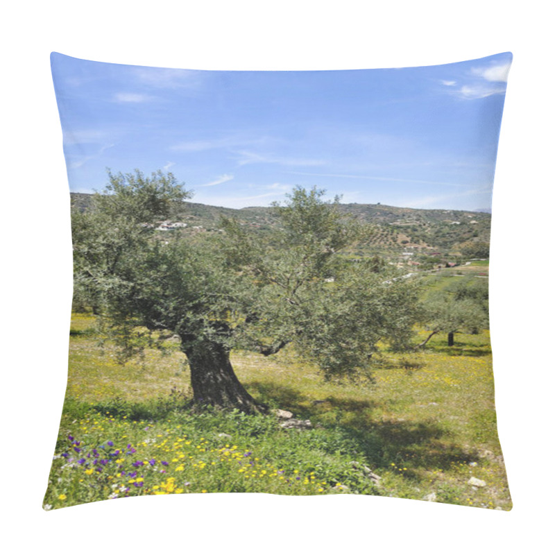 Personality  Olive Trees In Malaga Province In The Springtime Pillow Covers