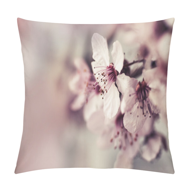 Personality  Cherry Tree Blossom  Flowers Pillow Covers