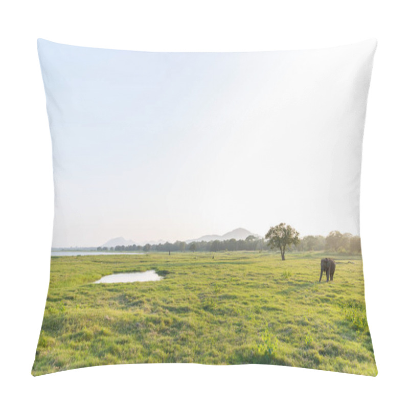 Personality  Filed Pillow Covers