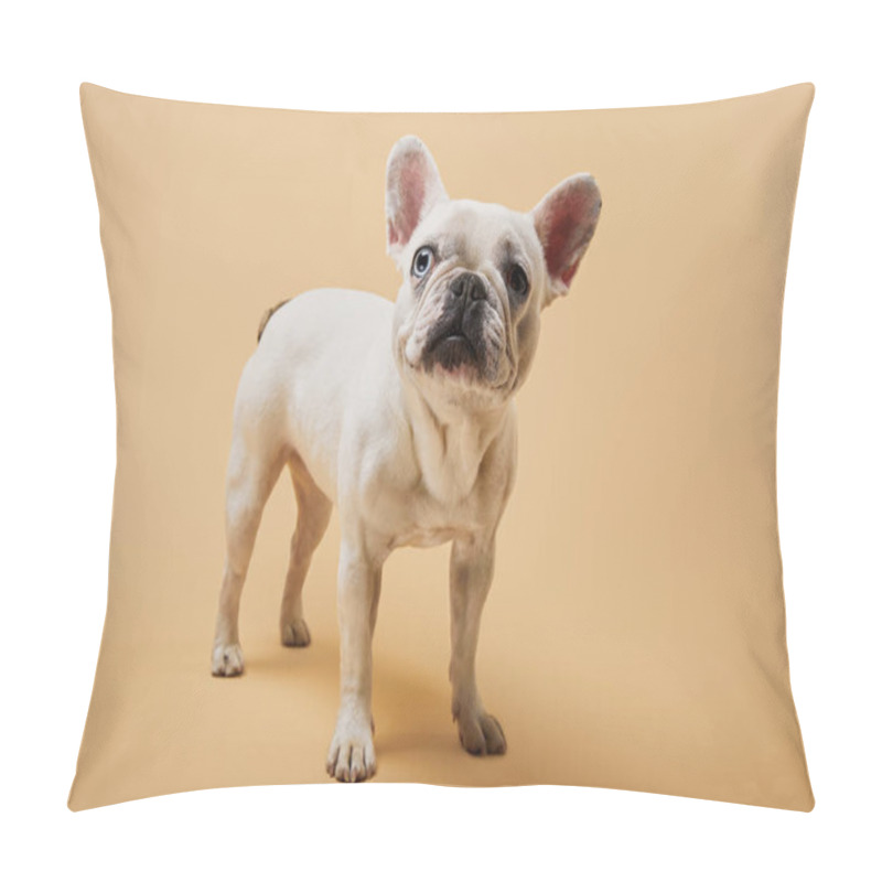 Personality  Small French Bulldog With Dark Nose On Beige Background Pillow Covers