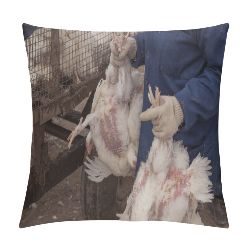 Personality  Factory For The Production Of Food Products From Chicken. Cycle Production Process. Pillow Covers