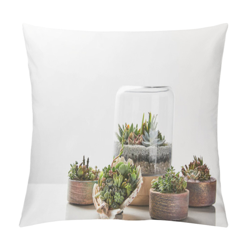 Personality  Green Exotic Succulents Under Glass In Flowerpots On Marble Table On White Background Pillow Covers