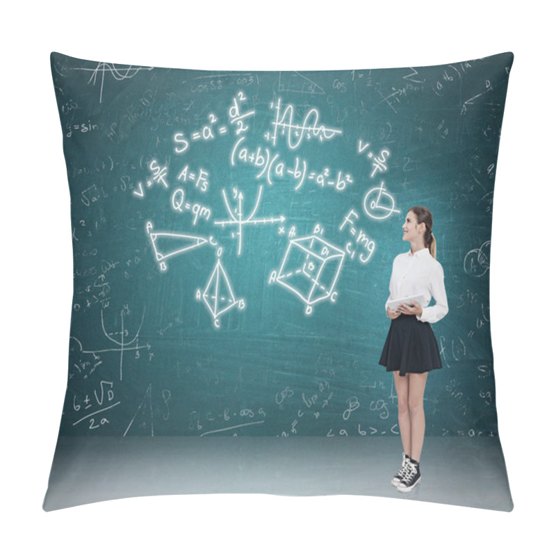 Personality  Woman Teaching Math  Pillow Covers