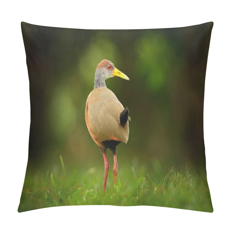 Personality  Gray-necked Wood-Rail Pillow Covers